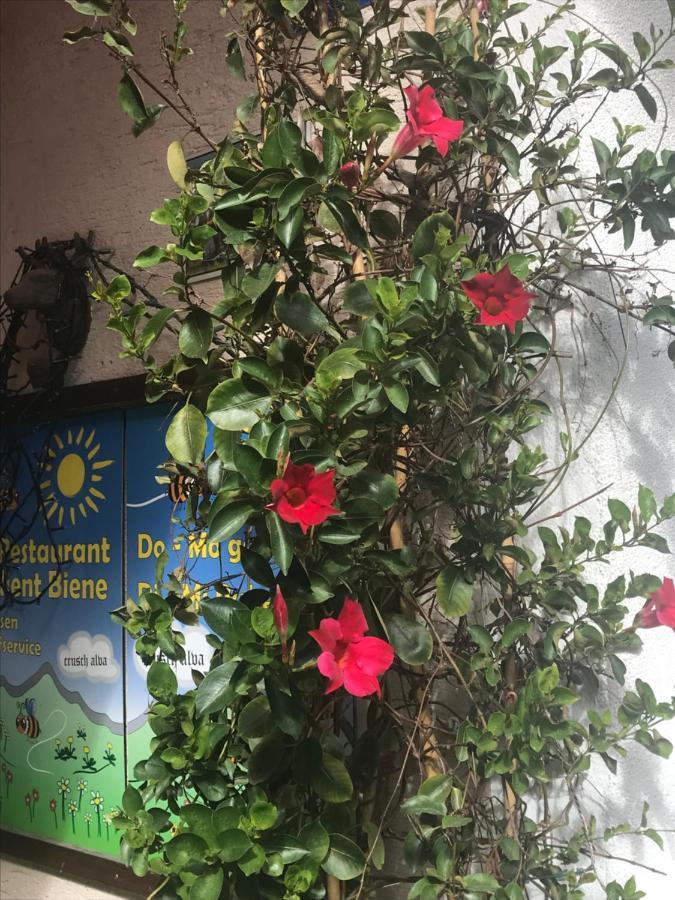 Tavanasa Alte Post Mit Geschichte Und Restaurant 아파트 외부 사진